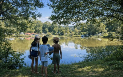 Que faire dans le Sud des Landes ? Nos idées nature autour de Bélus