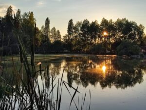 pond sunset romantic landes