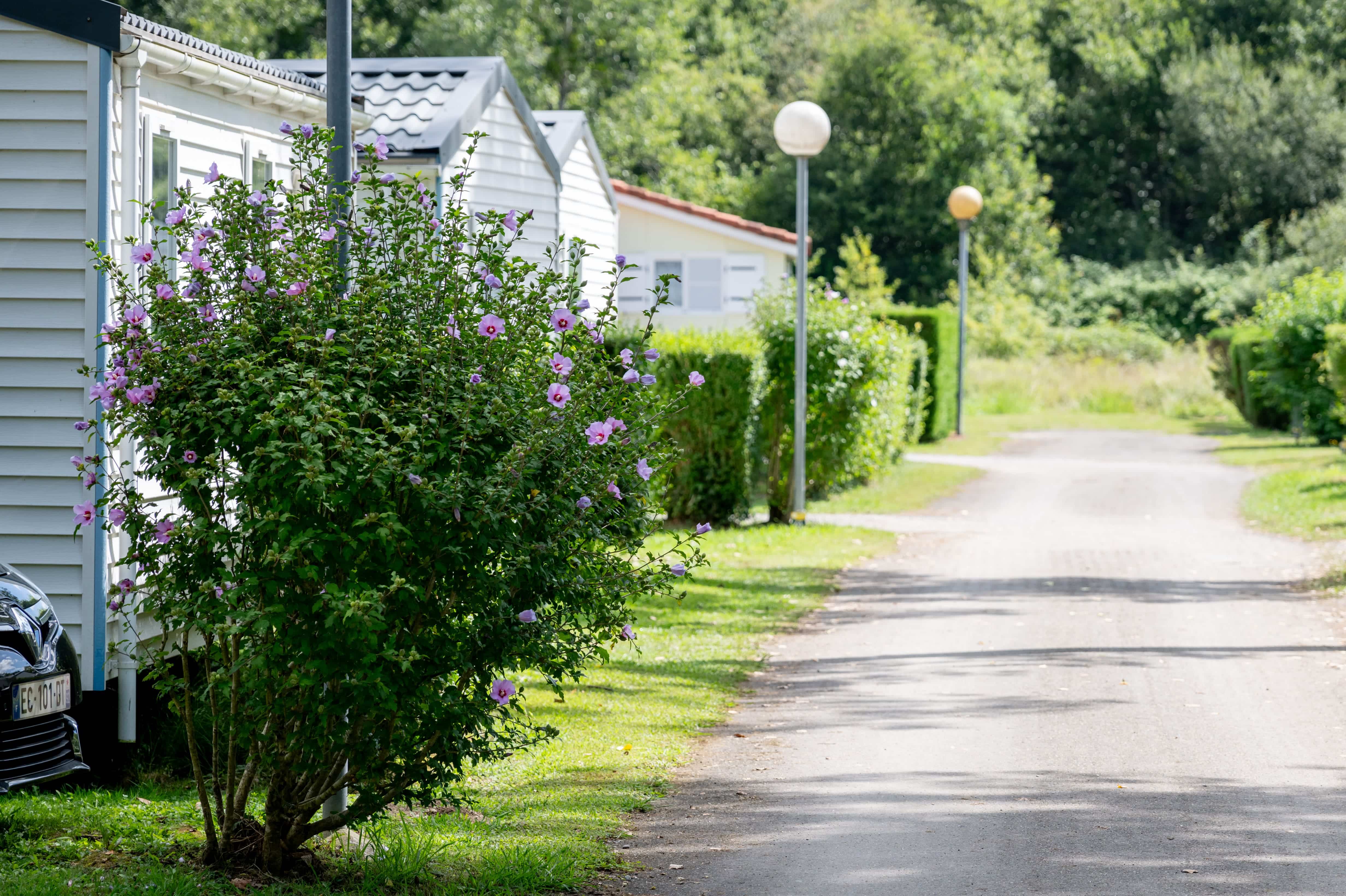 mobil-home-calme-landes